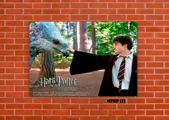 Harry Potter 2 en internet