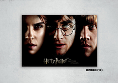Harry, Ron y Hermione 10