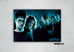 Harry, Ron y Hermione 11