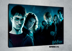 Harry, Ron y Hermione 11 - comprar online