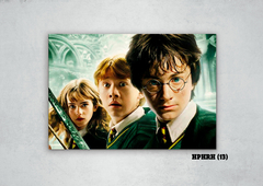 Harry, Ron y Hermione 13