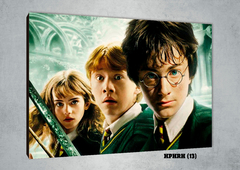 Harry, Ron y Hermione 13 - comprar online