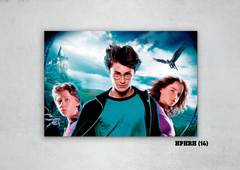 Harry, Ron y Hermione 14