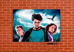 Harry, Ron y Hermione 14 en internet