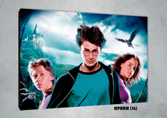 Harry, Ron y Hermione 14 - comprar online