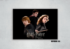 Harry, Ron y Hermione 9
