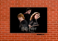 Harry, Ron y Hermione 9 en internet