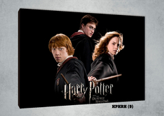 Harry, Ron y Hermione 9 - comprar online