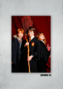 Harry, Ron y Hermione 3