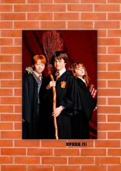Harry, Ron y Hermione 3 en internet