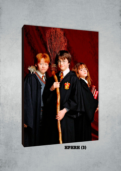 Harry, Ron y Hermione 3 - comprar online