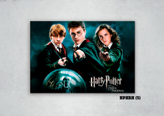 Harry, Ron y Hermione 5