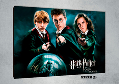 Harry, Ron y Hermione 5 - comprar online