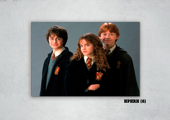 Harry, Ron y Hermione 6