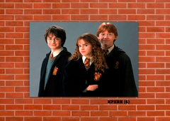 Harry, Ron y Hermione 6 en internet