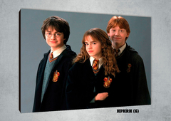 Harry, Ron y Hermione 6 - comprar online