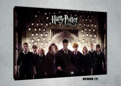 Harry, Ron y Hermione 7 - comprar online