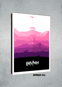 Harry Potter Varios 14 - comprar online