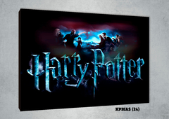 Harry Potter Varios 24 - comprar online