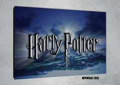 Harry Potter Varios 32 - comprar online