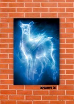 Patronus 5 en internet