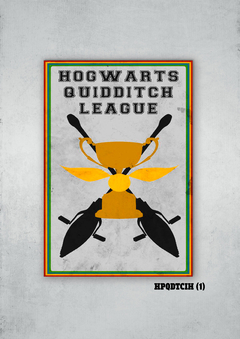 Quidditch 1