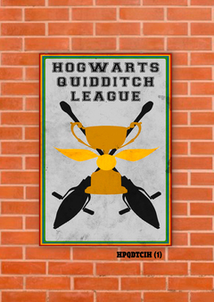 Quidditch 1 en internet