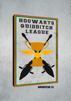 Quidditch 1 - comprar online