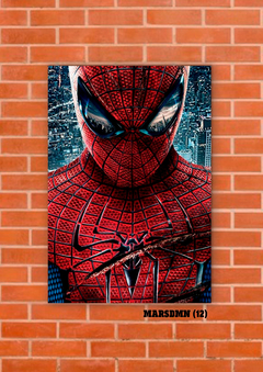 Spider Man 12 en internet