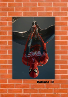 Spider Man 15 en internet