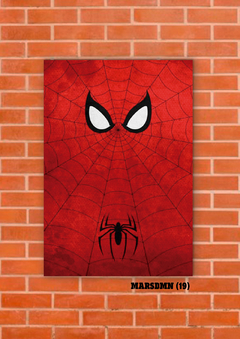 Spider Man 19 en internet