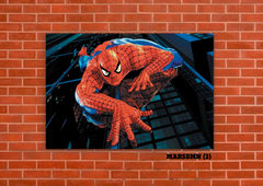 Spider Man 3 en internet