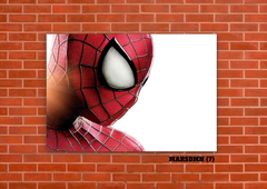 Spider Man 7 en internet