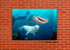 Buscando a Nemo 30 en internet