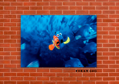 Buscando a Nemo 41 en internet