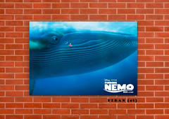 Buscando a Nemo 45 en internet