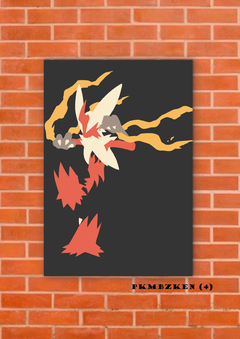 Blaziken 4 en internet