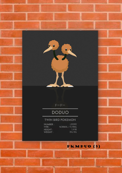 Doduo 5 en internet