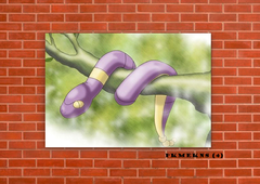 Ekans 4 en internet