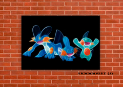 Mudkip, Marshtomp, Swampert 1 en internet