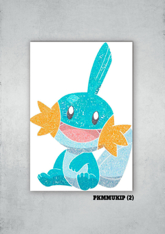 Mudkip 2