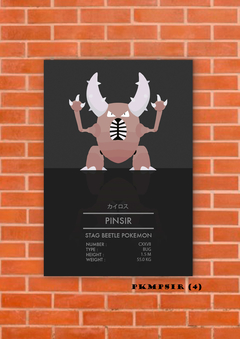 Pinsir 4 en internet