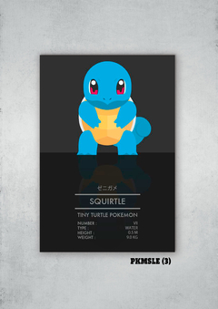 Squirtle 3