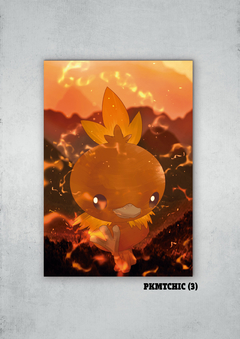 Torchic 3