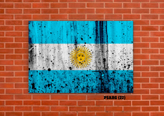 Argentina 22 en internet