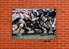 Rugby Varios 28 en internet