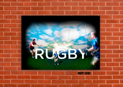 Rugby Varios 30 en internet
