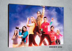 Big Bang Theory 12 - comprar online
