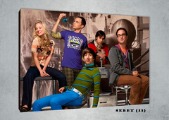 Big Bang Theory 13 - comprar online