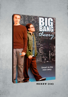 Big Bang Theory 14 - comprar online